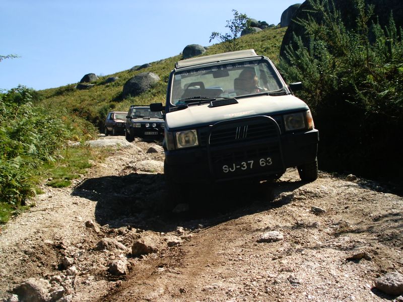 IMAG0015.jpg