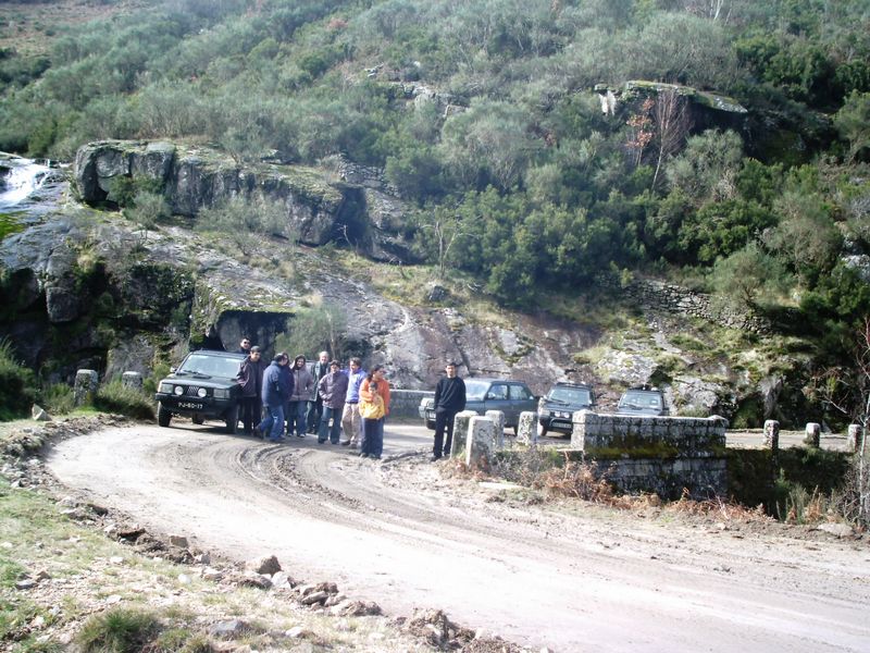 IMAG0011.jpg