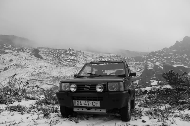 2010-02