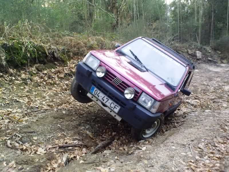 2010-03