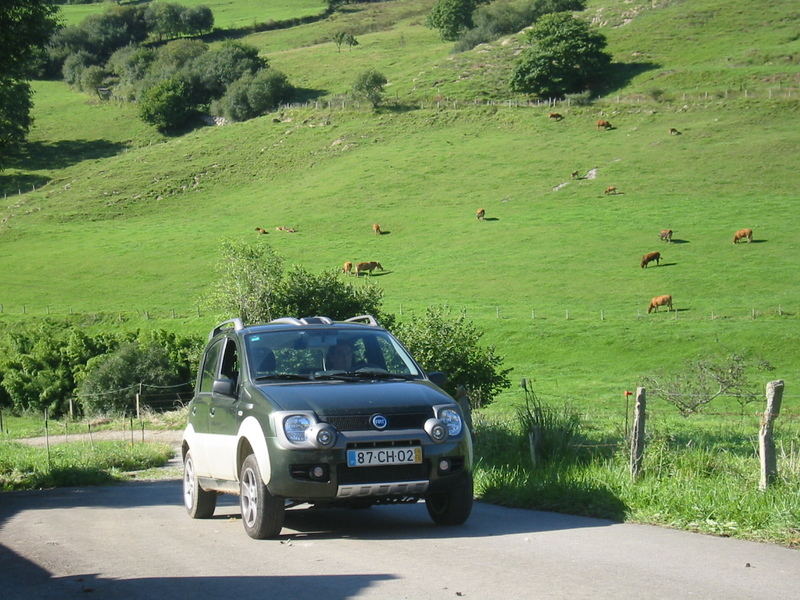 2010-08