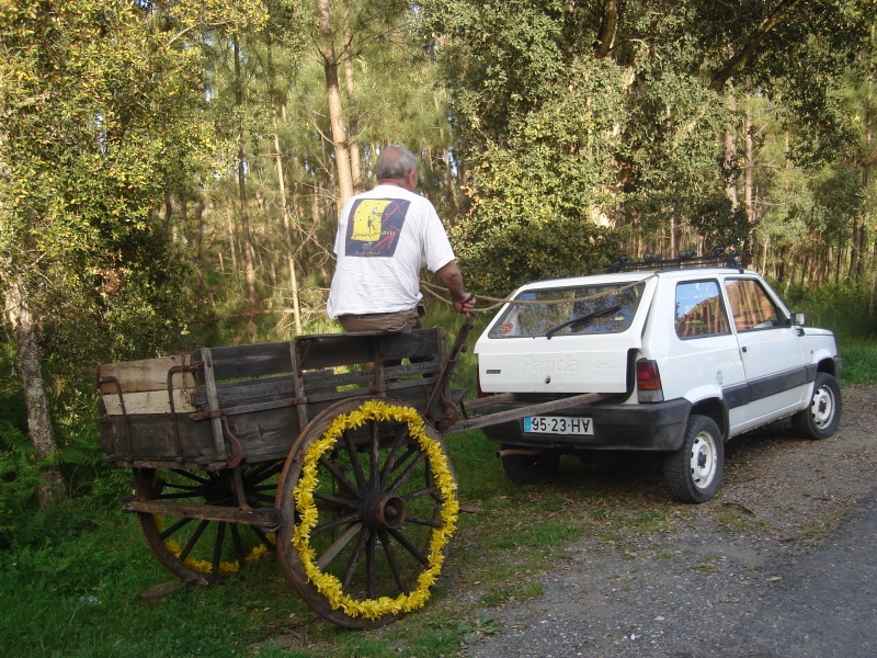 Maio2008
