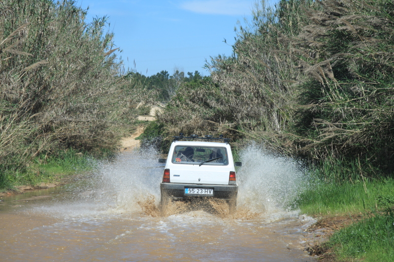 Novembro2009