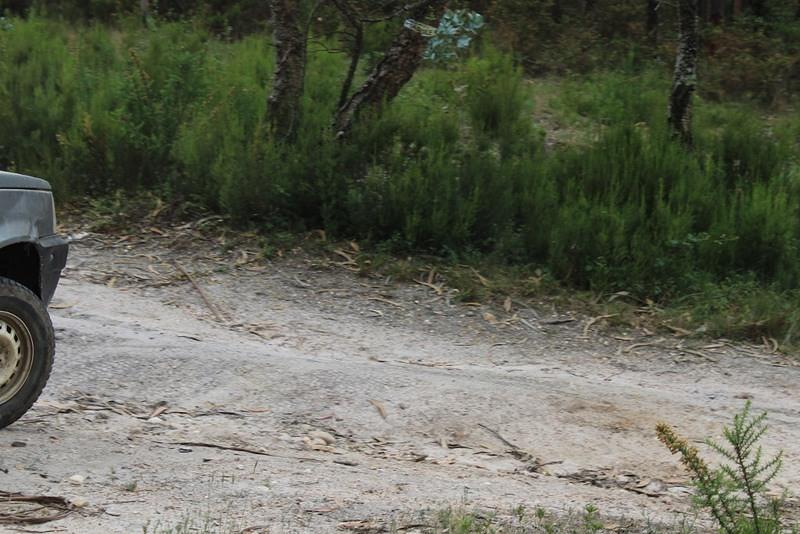 IMG 0211 (1024x683)