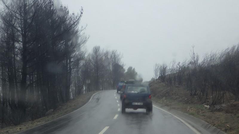 BrunoSantos (283)