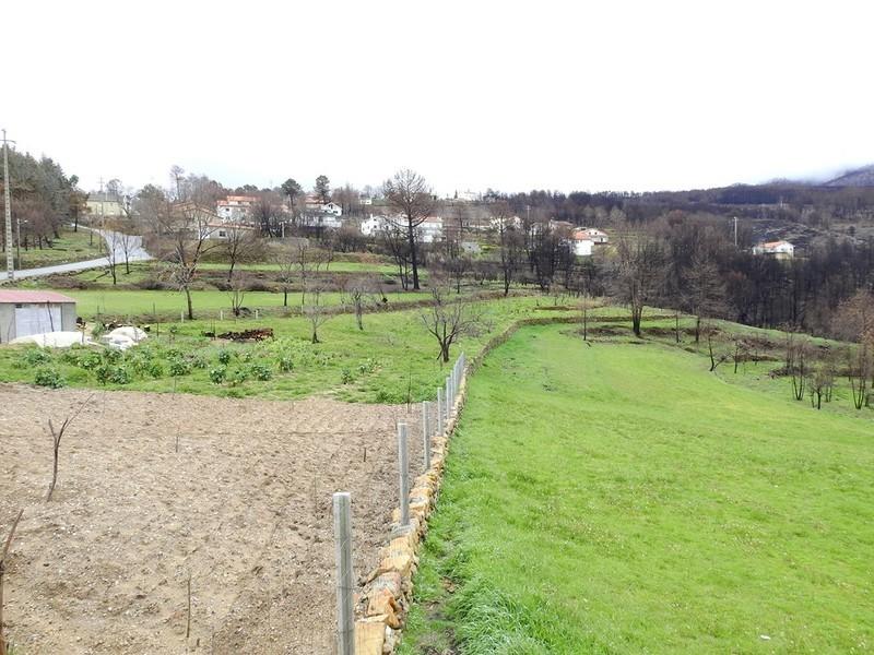 Formozinho (79)