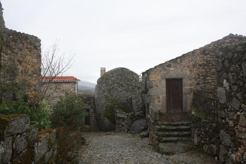 IMG 0109