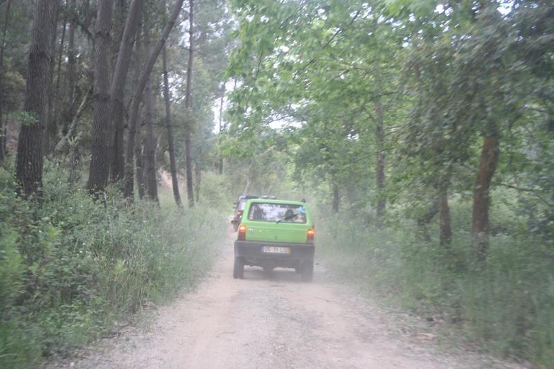 IMG 0845
