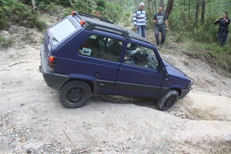 IMG 0855