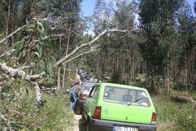 IMG 0895