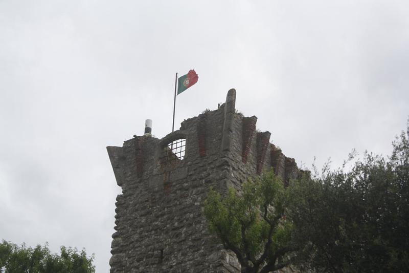 IMG 0898