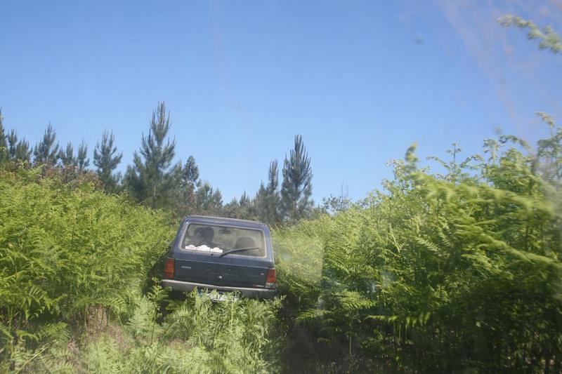 IMG 0935