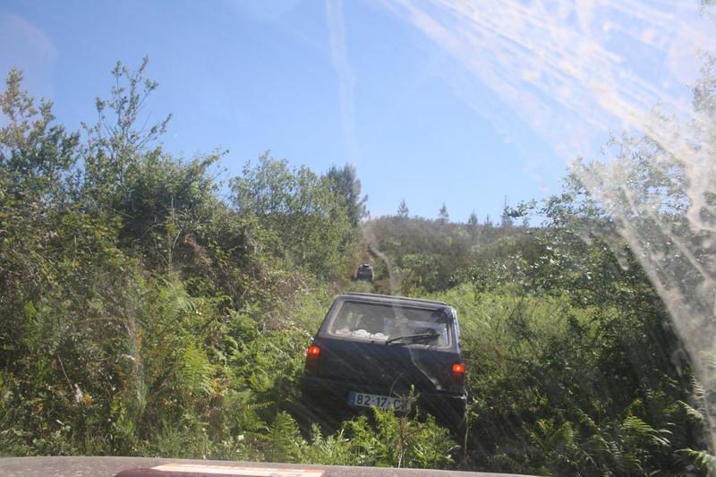 IMG 0936