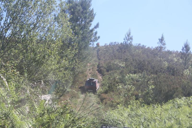 IMG 0939