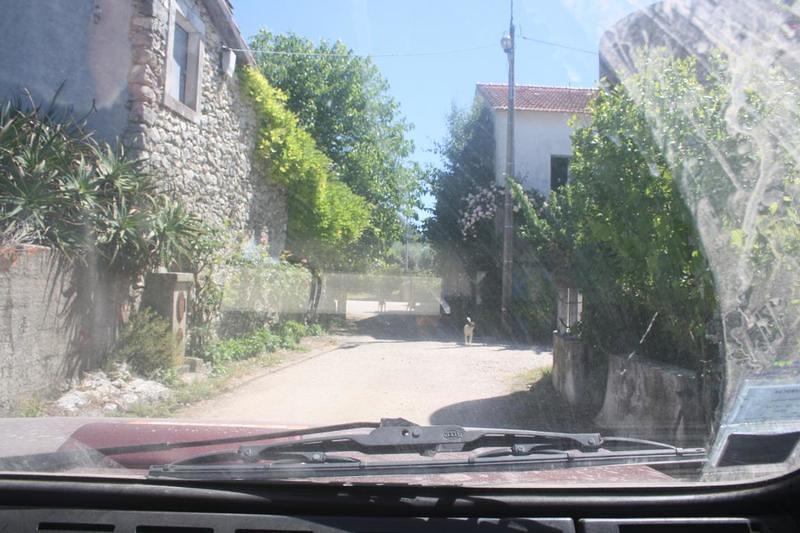IMG 0948