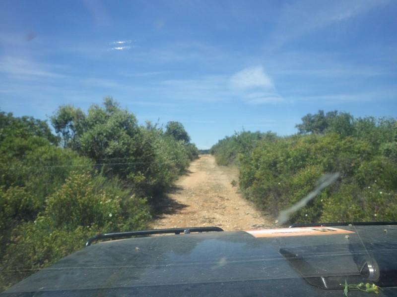 bmps2003 (133)