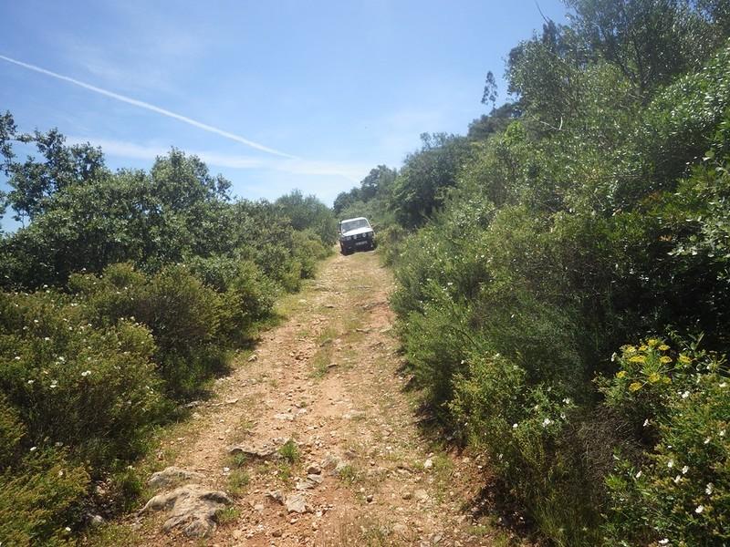 bmps2003 (138)