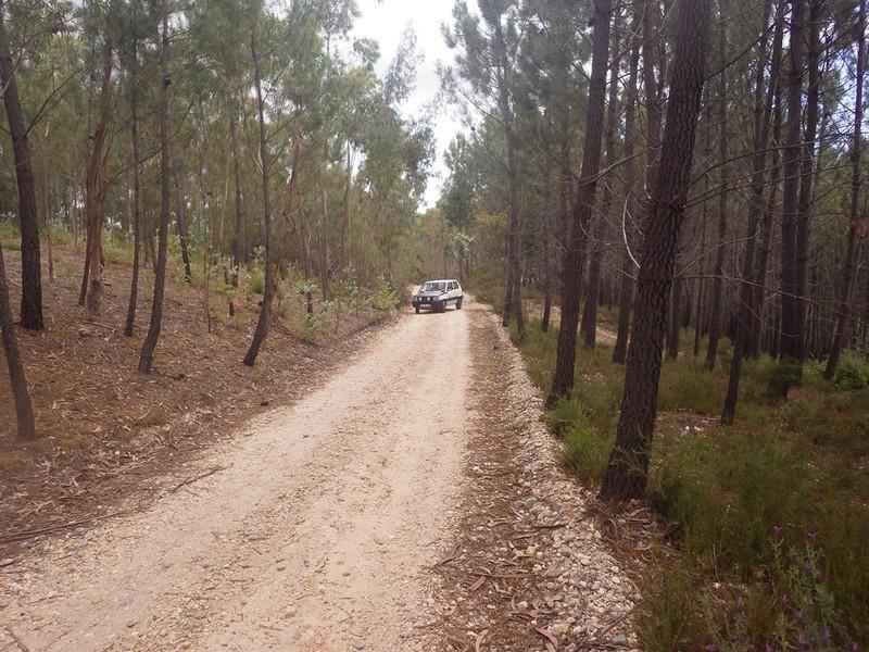 bmps2003 (28)