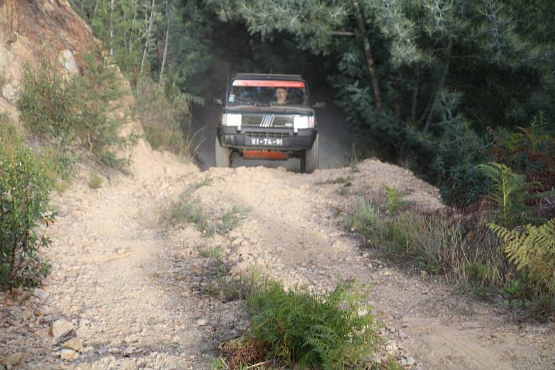 IMG-0338
