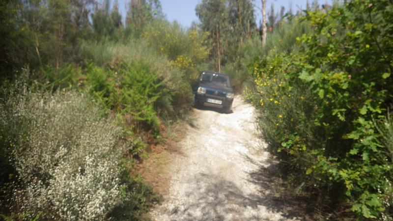 bmps (16)