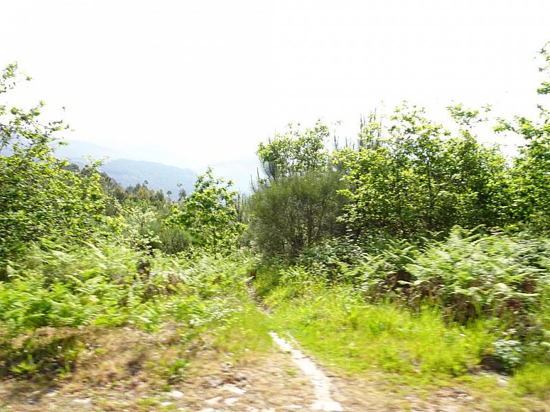 mini DSC07873