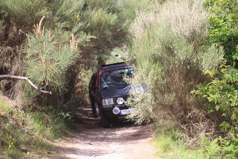 mini IMG 0919