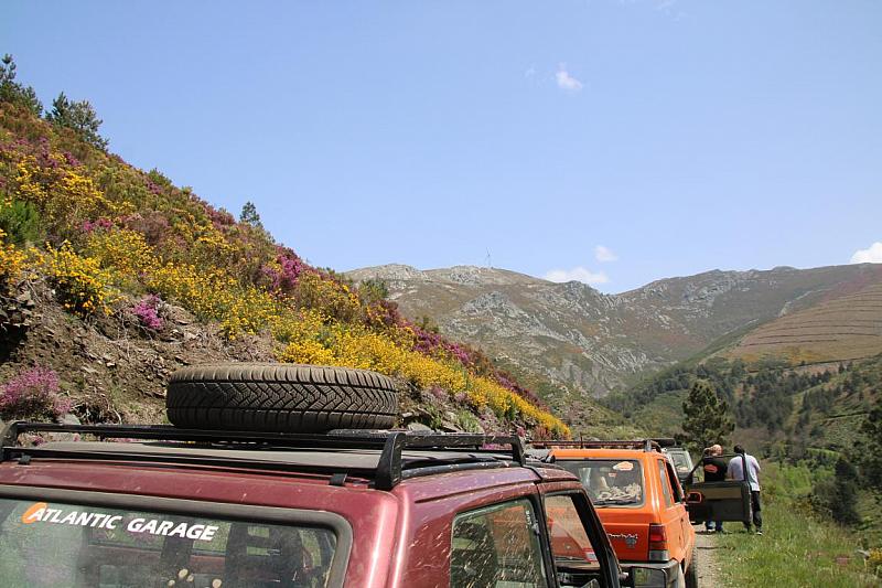 mini IMG 0963