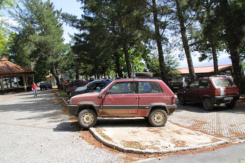 mini IMG 0968