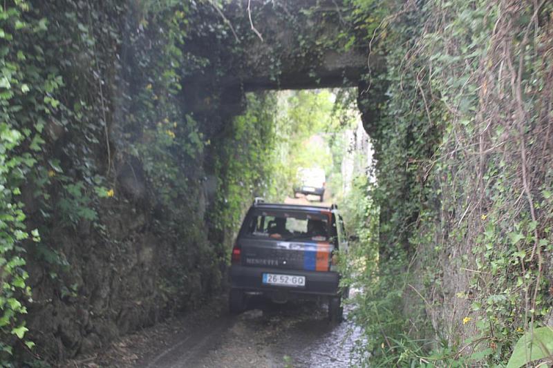 mini IMG 0998