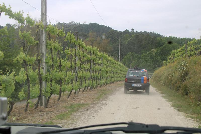 mini IMG 1002