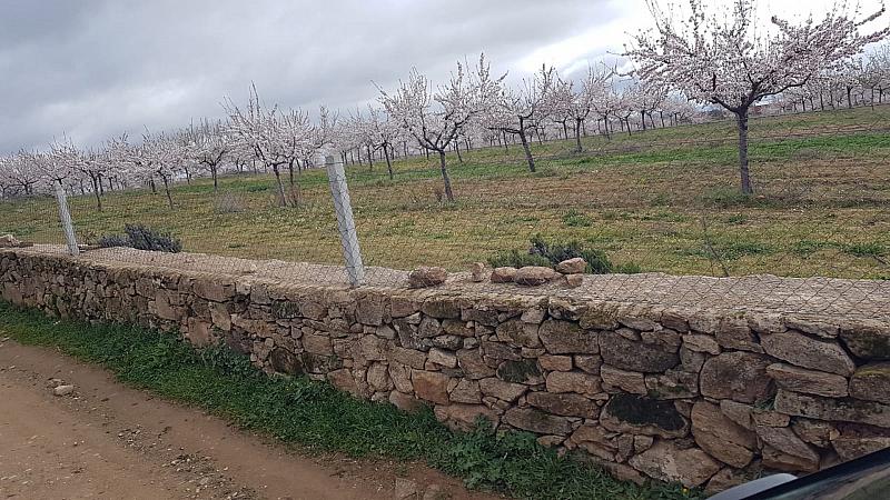 CelsoMendes (10)