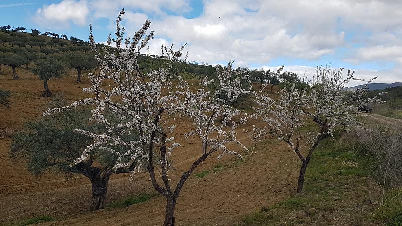 CelsoMendes (20)
