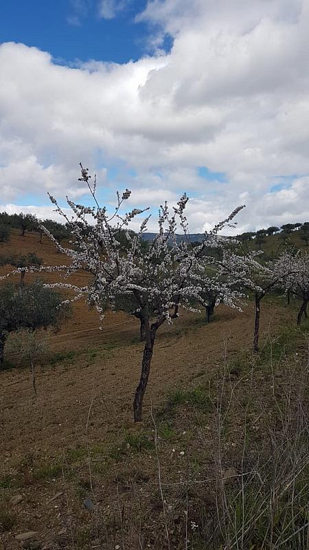 CelsoMendes (21)