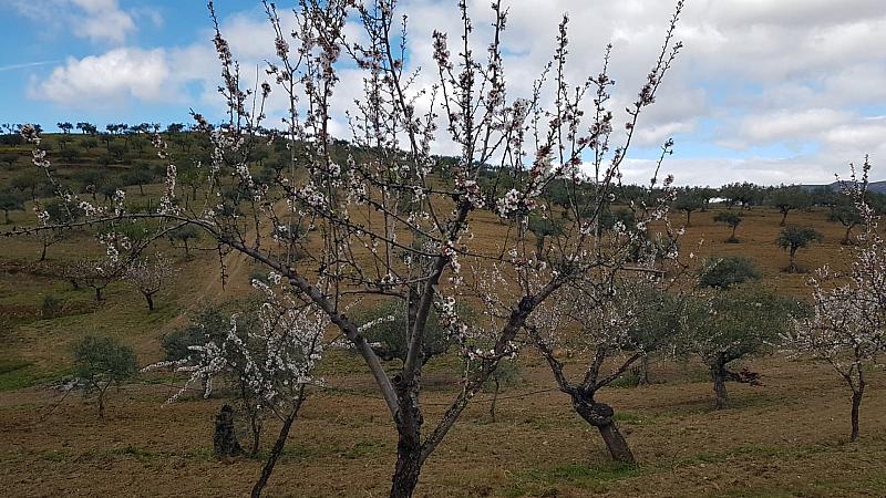 CelsoMendes (22)
