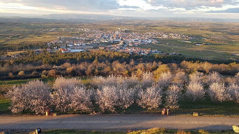 CelsoMendes (60)