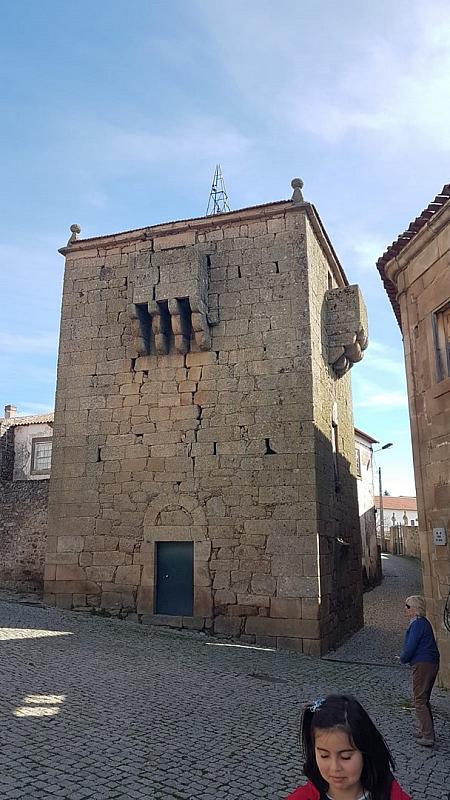 CelsoMendes (71)