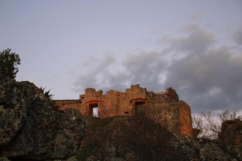 IMG 2019