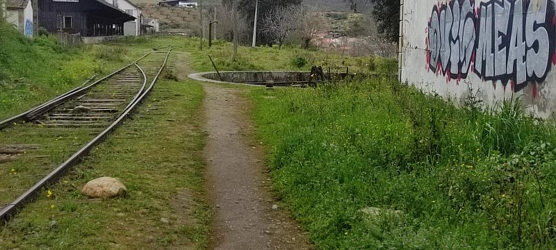 IMG 20230318 132146