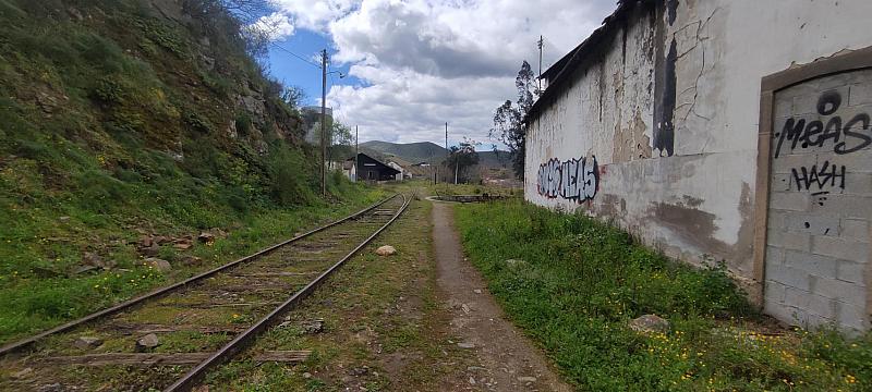 IMG 20230318 132150