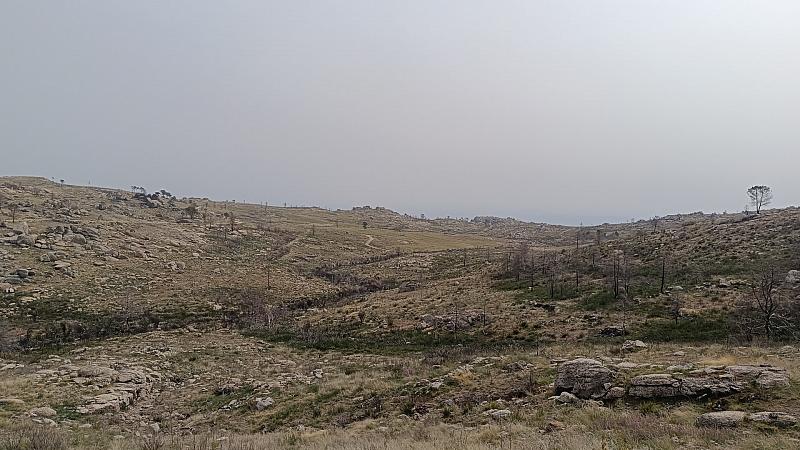 bmps2003 (39)