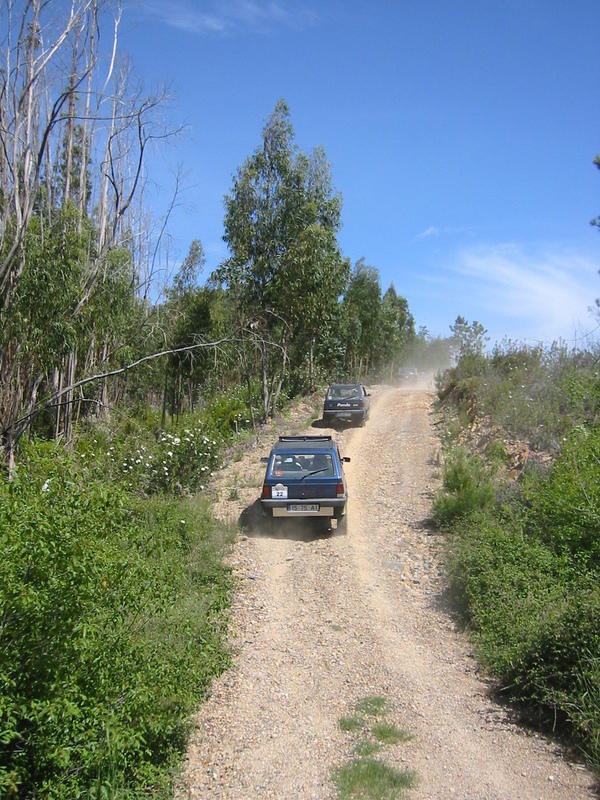 IMG_2503.jpg