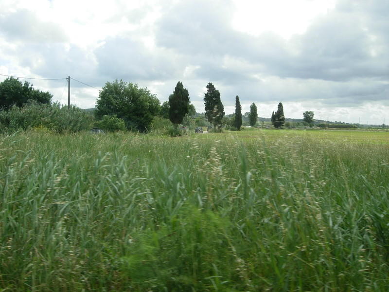 DSCN0006.JPG