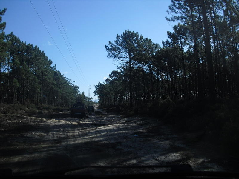 CIMG0033.JPG