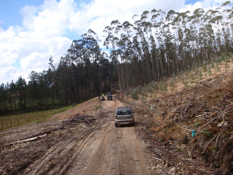bmps2003VII (157).JPG