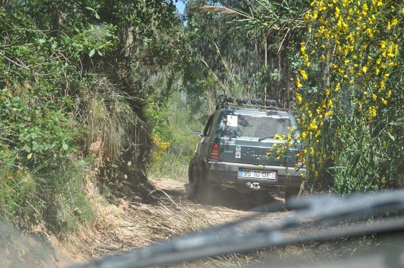 DSC 0071 (CÃ³pia)-01