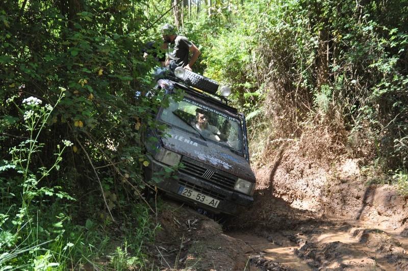 DSC 0102 (CÃ³pia)-01