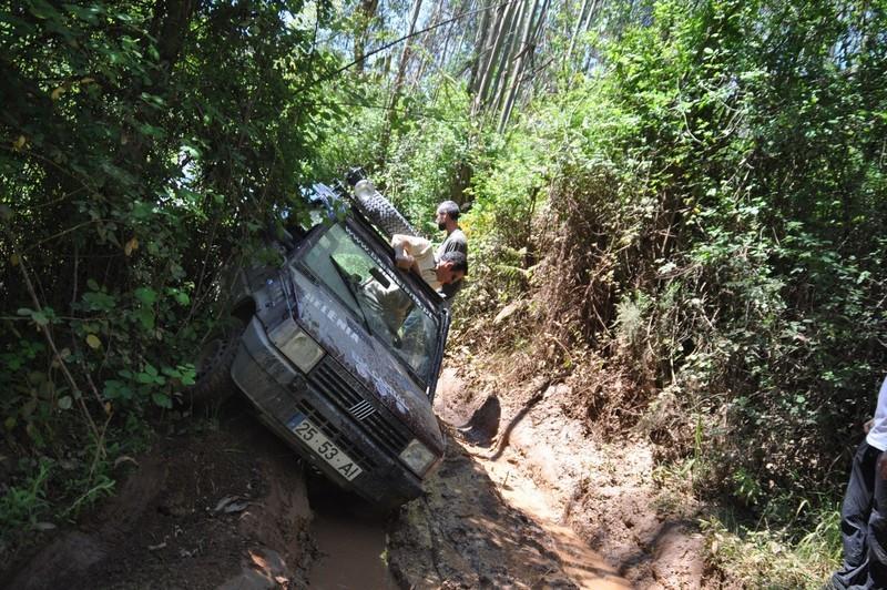 DSC 0125 (CÃ³pia)-01