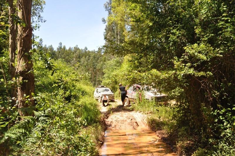 DSC 0133 (CÃ³pia)-01