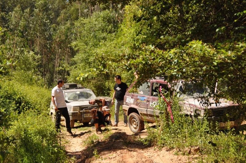 DSC 0135 (CÃ³pia)-01