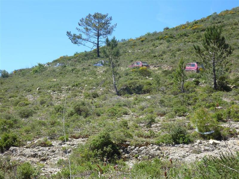 P1130171